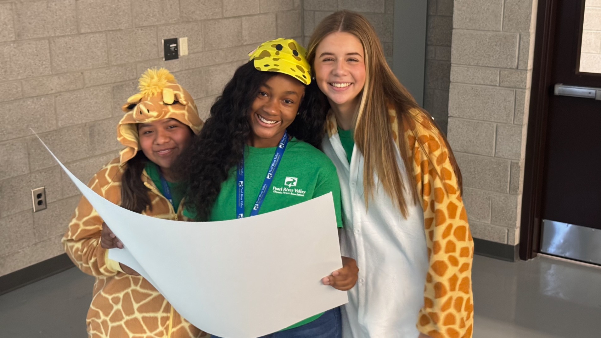 prvepa online payment bill pay